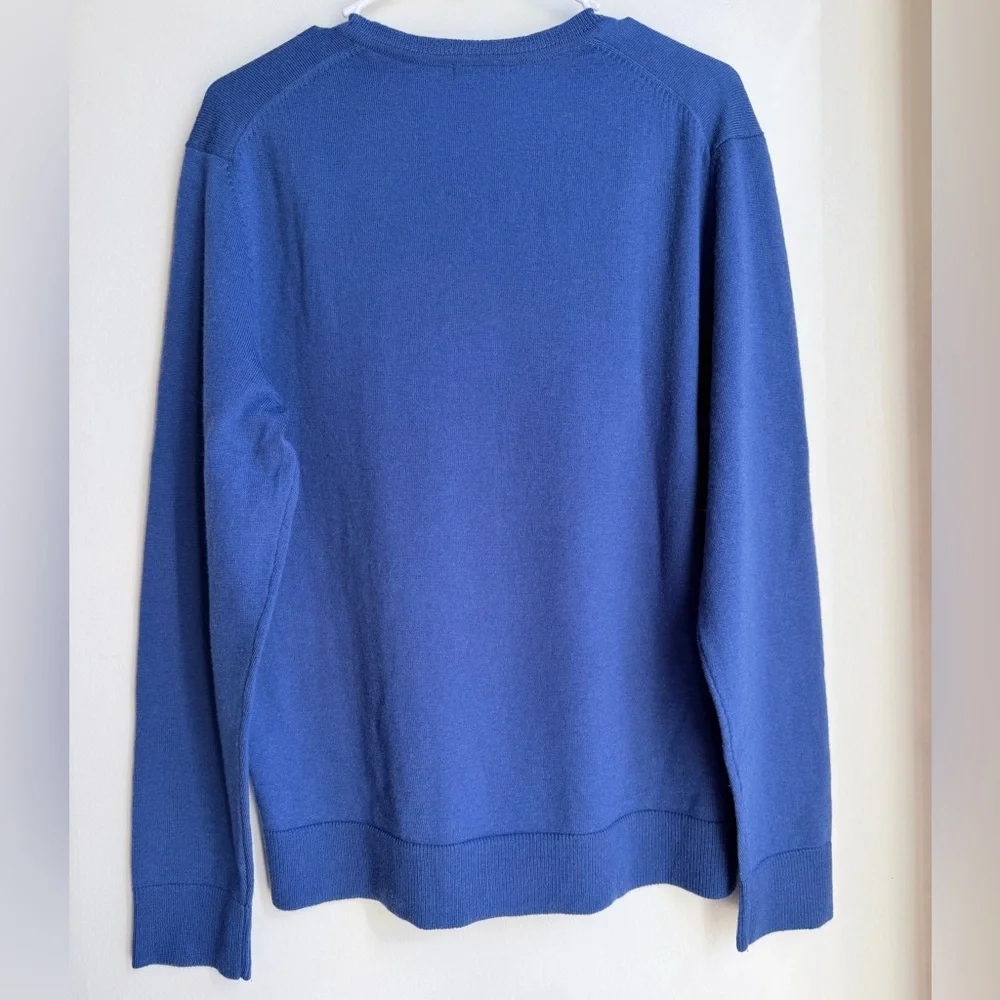 Gap Men’s Merino Wool V-Neck Sweater Blue Size Medium